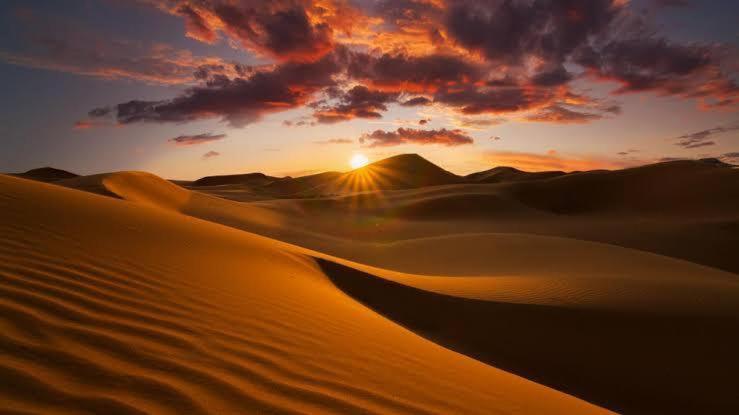 Golden Sandstone Hotel Desert Safari Camp Jaisalmer Ngoại thất bức ảnh