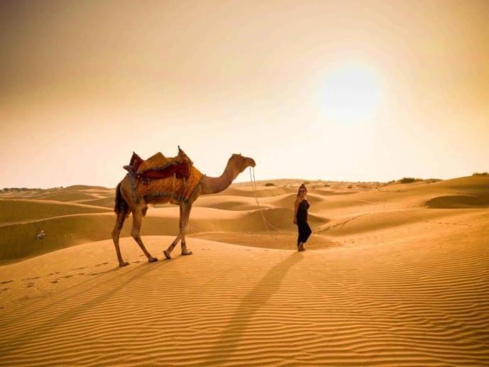 Golden Sandstone Hotel Desert Safari Camp Jaisalmer Ngoại thất bức ảnh
